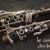Clarinette sib Privilège Evolution d'occasion -2