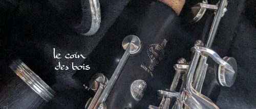 Clarinette Festival sib Buffet Crampon d'occasion N°360707