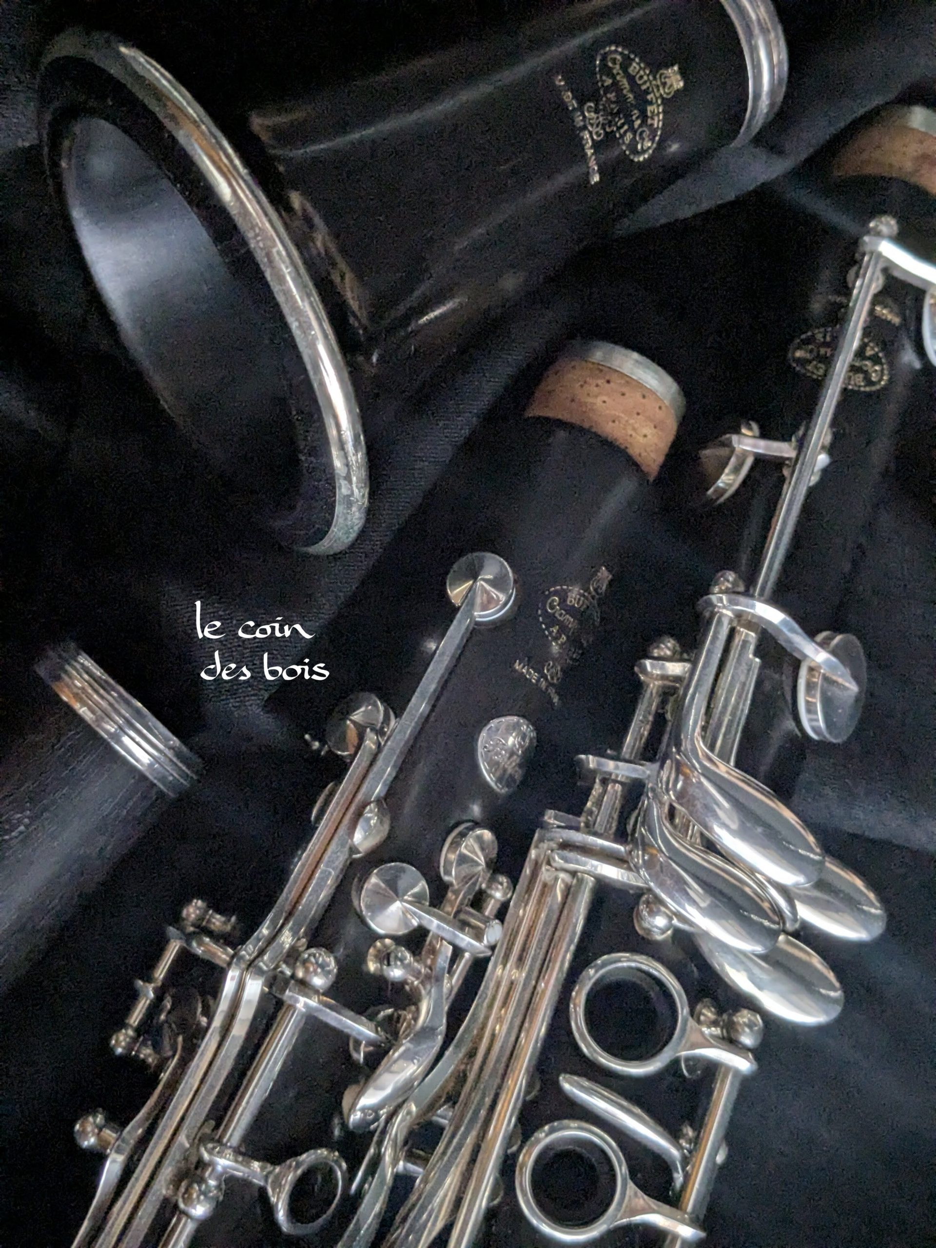 Clarinette Festival sib Buffet Crampon d'occasion N°360707