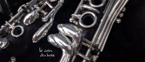 Clarinette d'occasion Privilège sib Selmer N°S05836