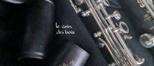 Clarinette en la Divine Buffet Crampon N°754168