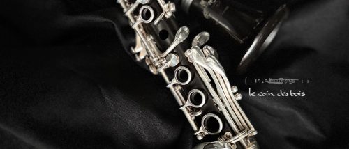 Petit clarinette d'occasion Greenline mib Buffet Crampon N°609244