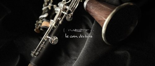 Clarinette Tradition sib Buffet Crampon d'occasion N°699860