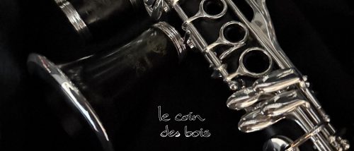 Clarinette d'occasion Récital Selmer en mib N°P07608